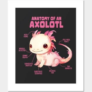 Anatomy Of An Axolotl Posters and Art